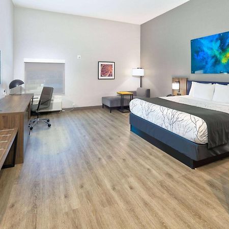La Quinta Inn & Suites By Wyndham Dallas/Fairpark Zewnętrze zdjęcie